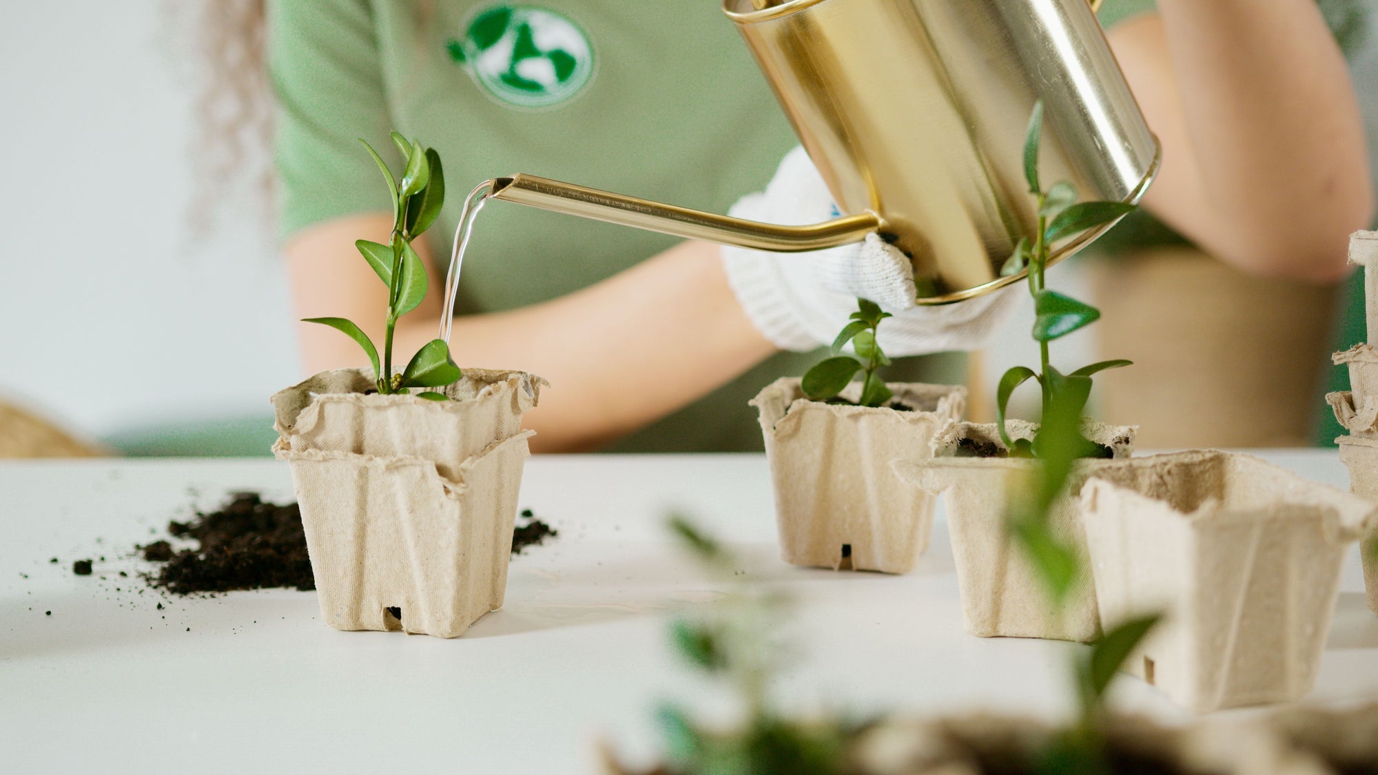 Eco-Friendly Finds