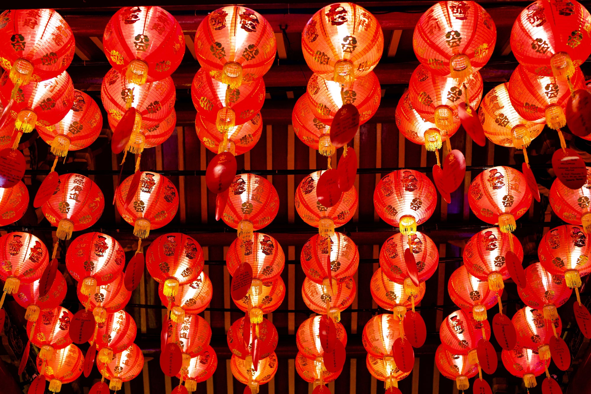 Chinese New Year Finds