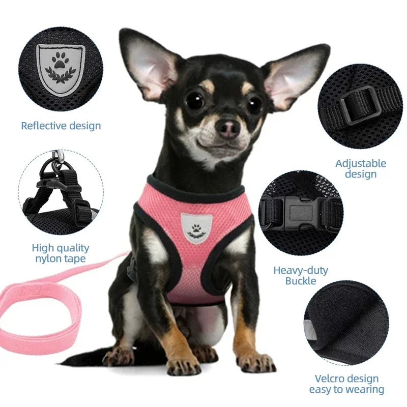 Adjustable Pet Harness - Walking Vest with Matching Lead Option