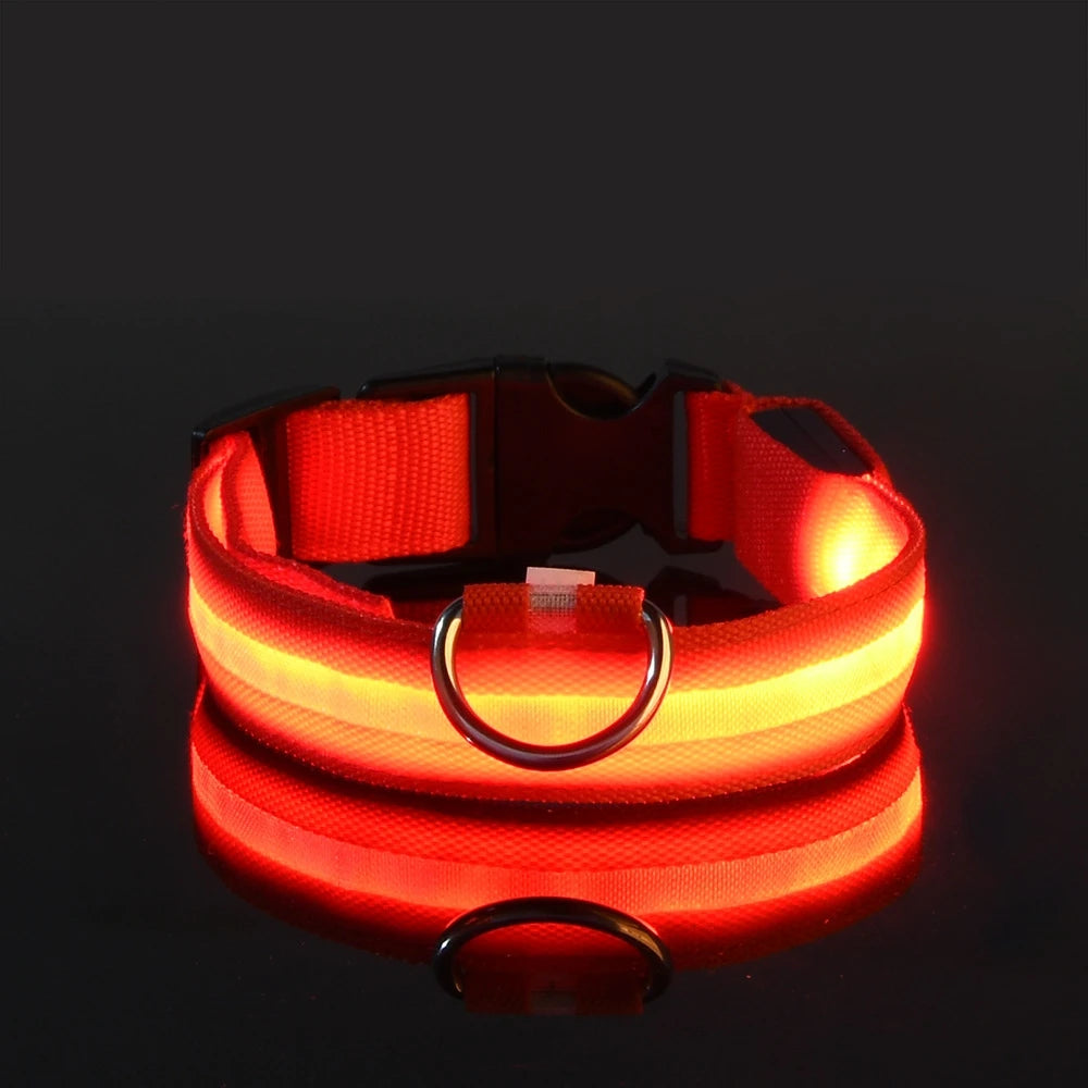 Nylon LED Night Safety Flashing - For Everyday Pet Use