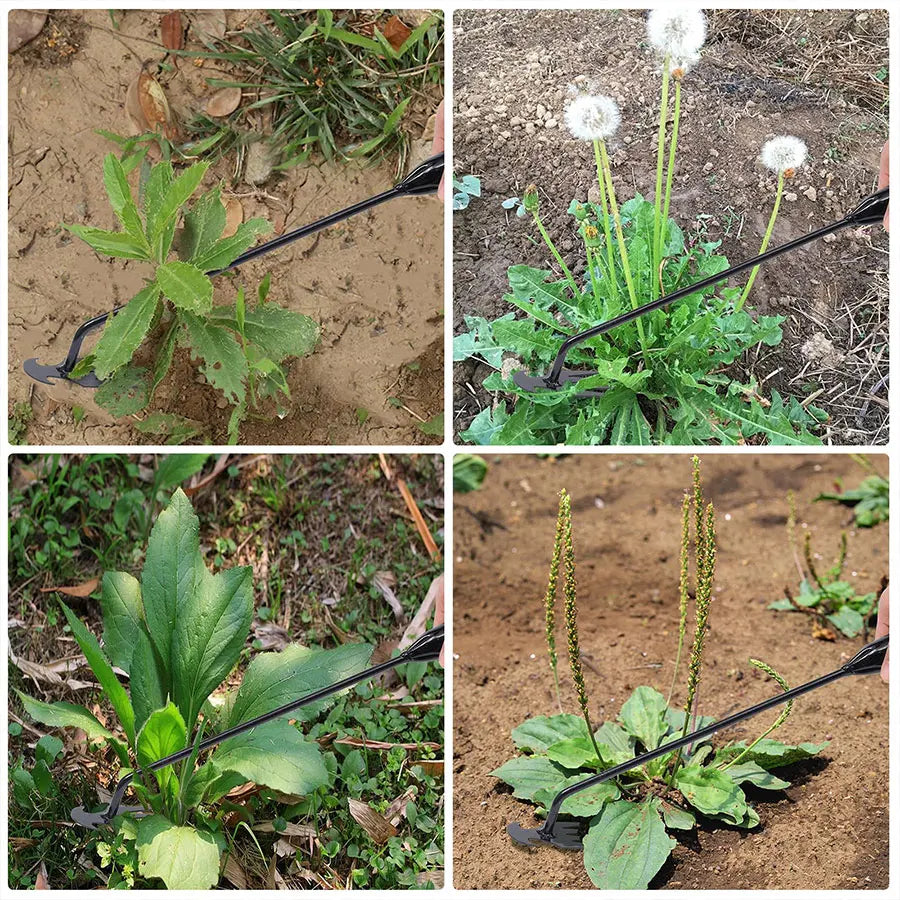 Garden Hoe Tool - Length Options for Soil and Plant Care