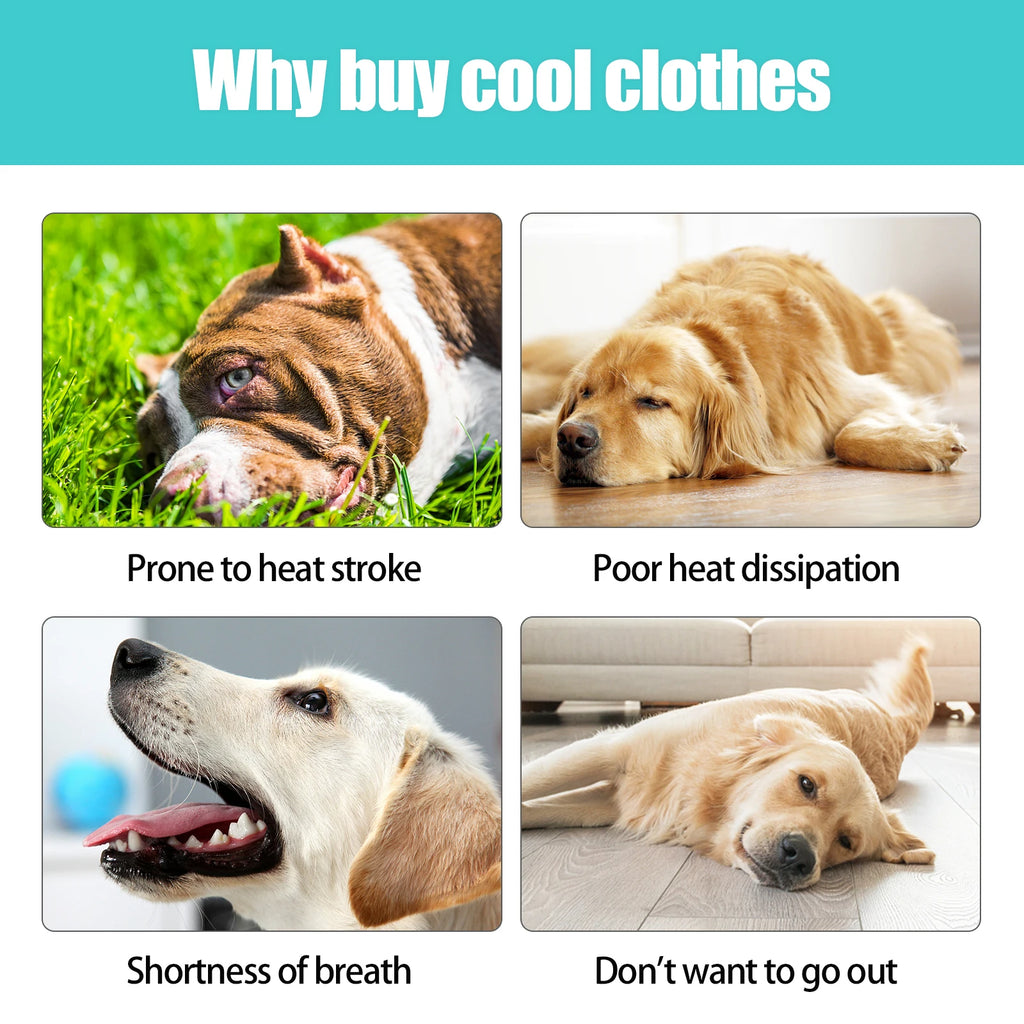 Instant Evaporative Pet Cooling Vest - Adjustable Breathable Heatwave Jacket