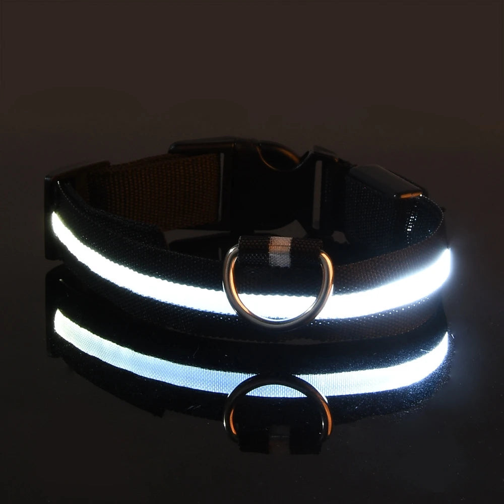 Nylon LED Night Safety Flashing - For Everyday Pet Use