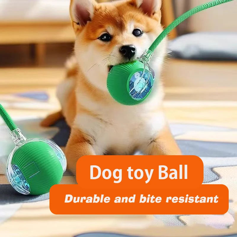 Rolling Dog Ball Toy - Rechargeable Interactive Pet Play