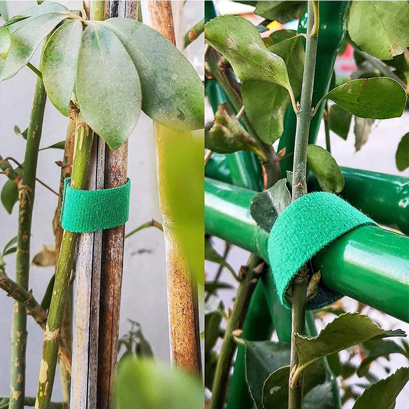 Garden Plant Ties - Nylon Hook-and-Loop Support Tape