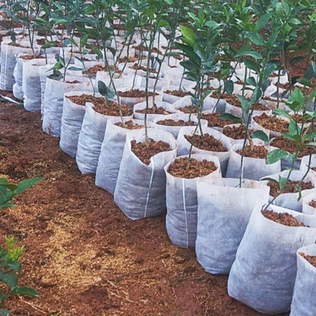 Plant Nursery Bags - 100-Piece Seedling Grow Bags