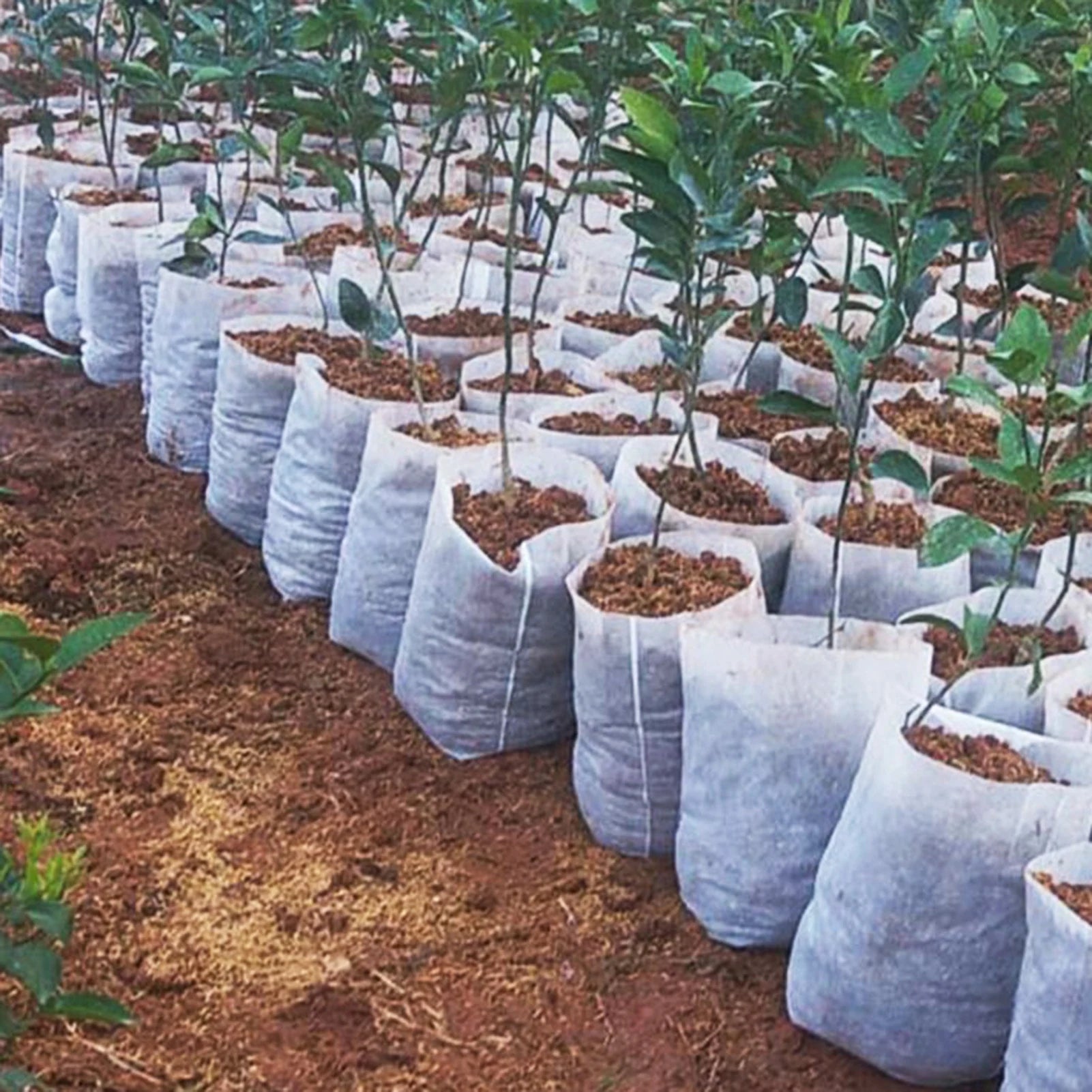 Plant Nursery Bags - 100-Piece Seedling Grow Bags