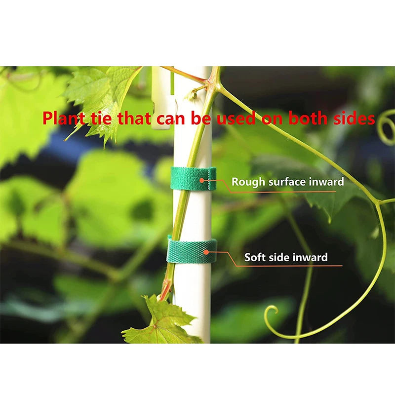 Garden Plant Ties - Nylon Hook-and-Loop Support Tape