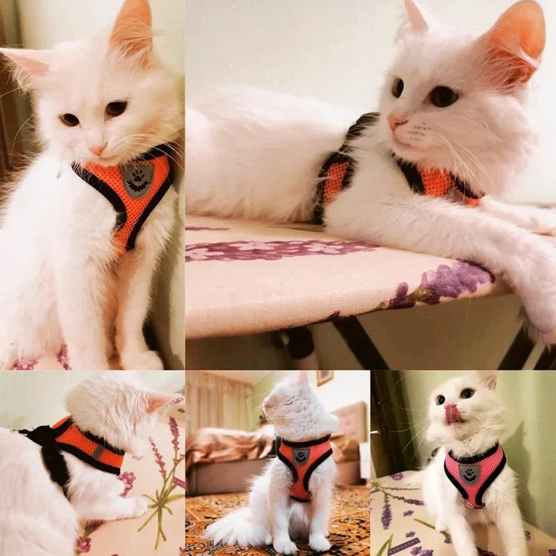 Adjustable Pet Harness - Walking Vest with Matching Lead Option