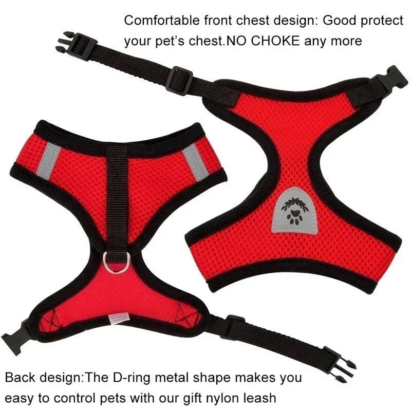 Adjustable Pet Harness - Walking Vest with Matching Lead Option