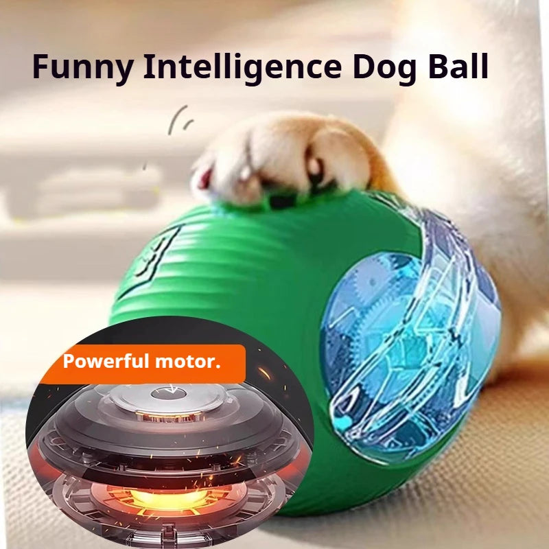 Rolling Dog Ball Toy - Rechargeable Interactive Pet Play