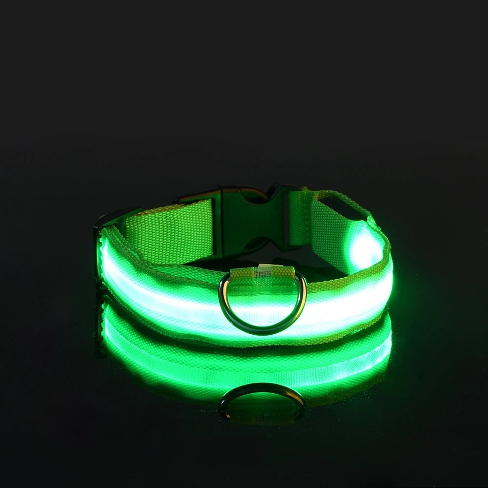 Nylon LED Night Safety Flashing - For Everyday Pet Use