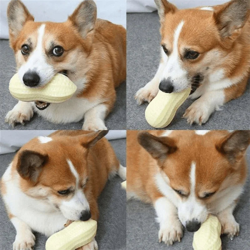 Chewing Simulation Pet Toy - Interactive Pet Play and Daily Enrichment