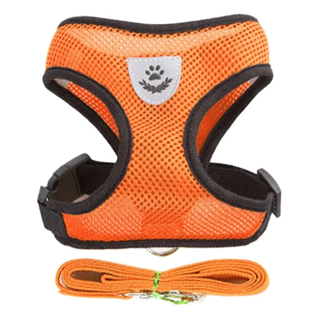 Adjustable Pet Harness - Walking Vest with Matching Lead Option