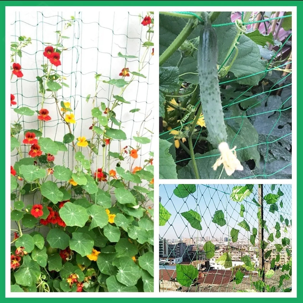 Garden Trellis Grow Net – Heavy-Duty Support for Climbing Plants