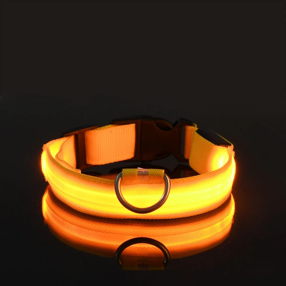 Nylon LED Night Safety Flashing - For Everyday Pet Use