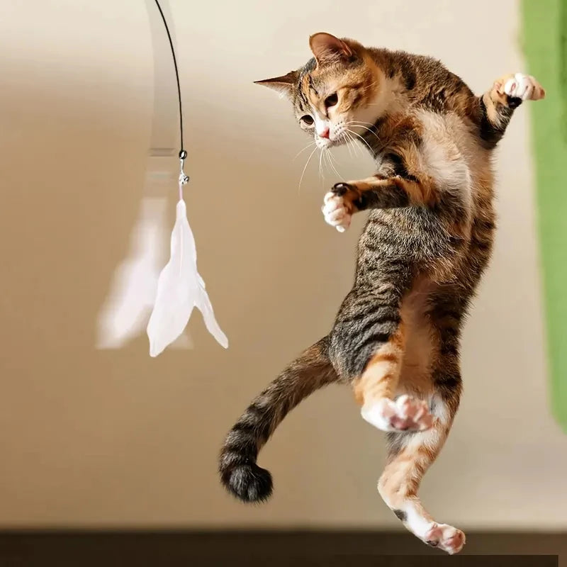 Cat Teaser Wand - Bell and Feather Toy for Active Play