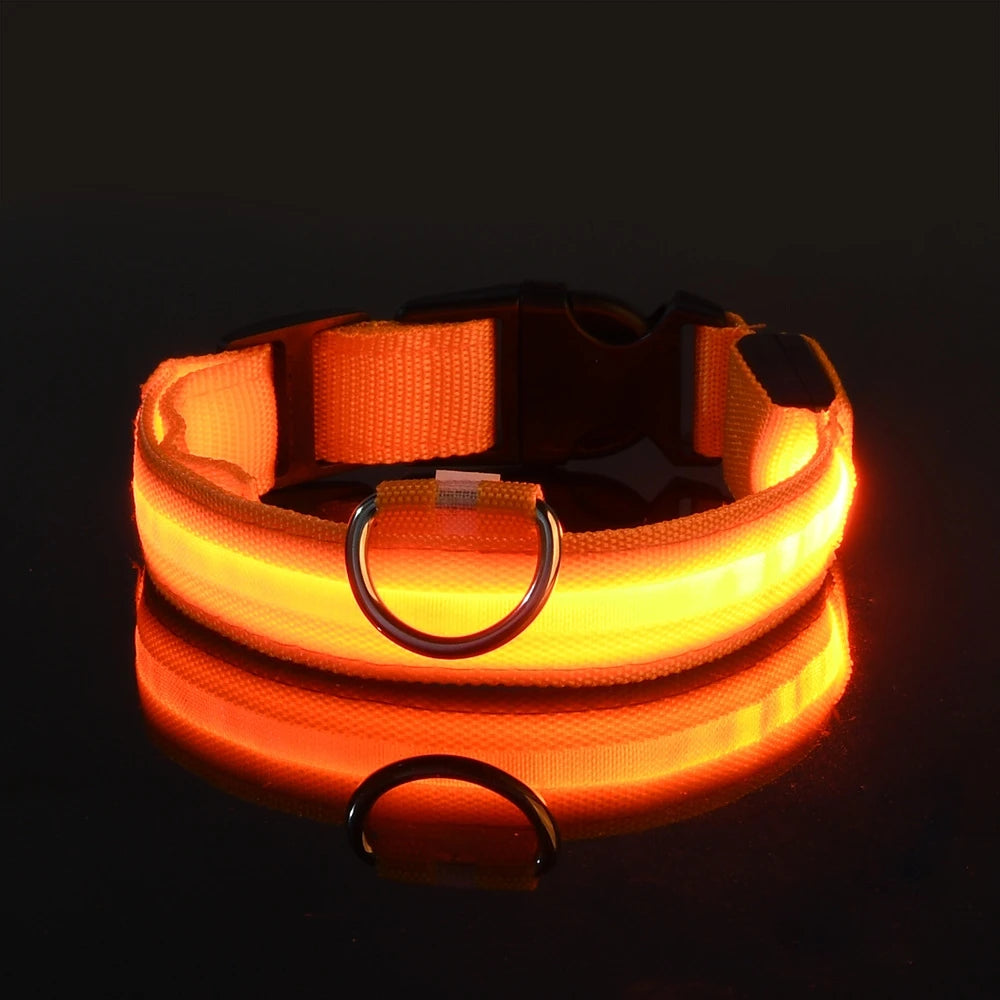 Nylon LED Night Safety Flashing - For Everyday Pet Use