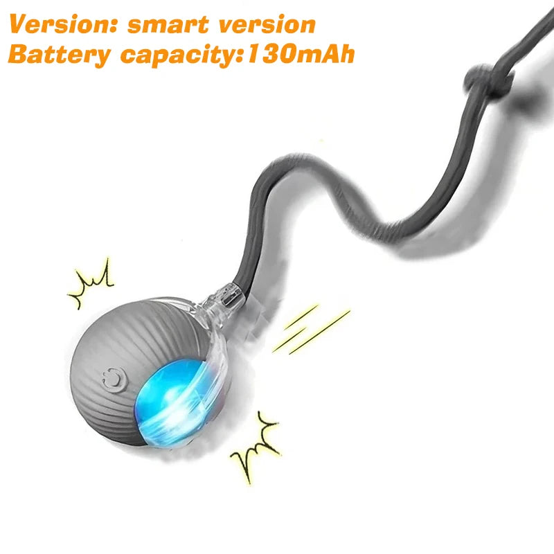 Rolling Dog Ball Toy - Rechargeable Interactive Pet Play