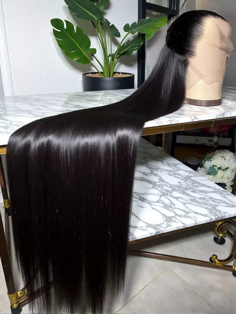 Straight Lace Front Wig - Human Hair Natural Color Wig