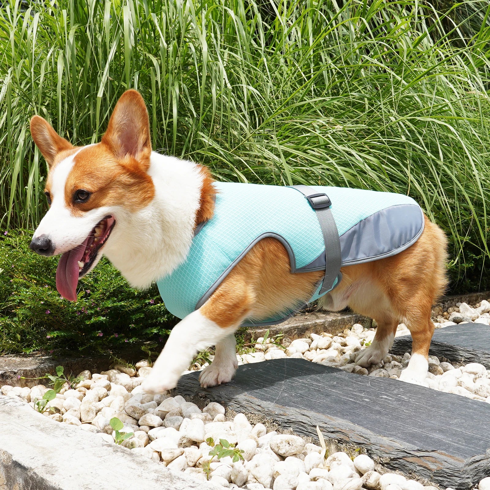 Instant Evaporative Pet Cooling Vest - Adjustable Breathable Heatwave Jacket