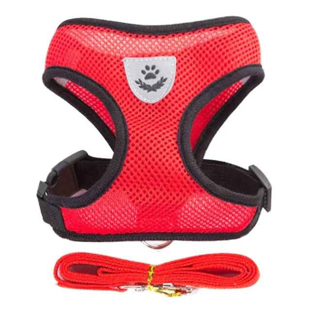 Adjustable Pet Harness - Walking Vest with Matching Lead Option