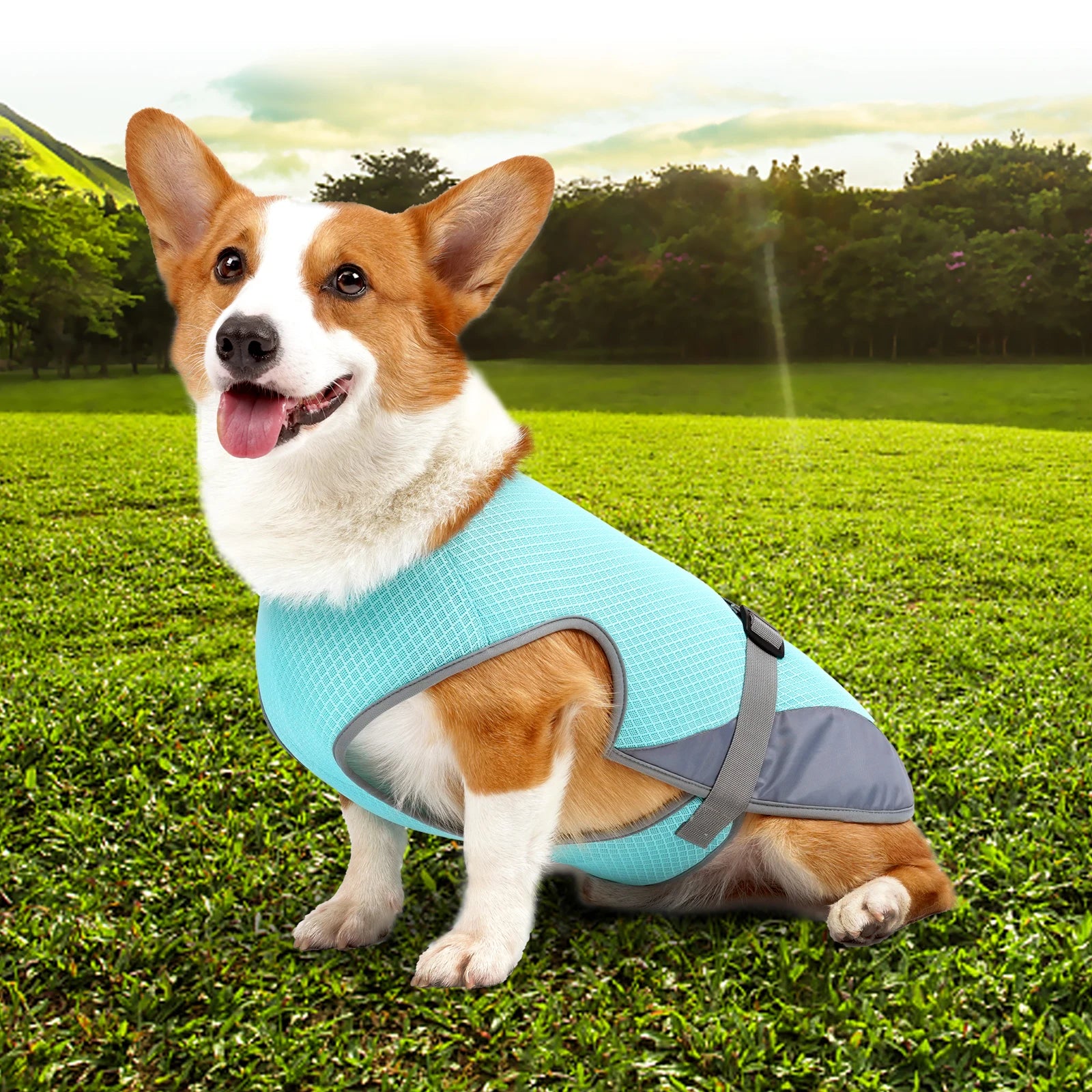 Instant Evaporative Pet Cooling Vest - Adjustable Breathable Heatwave Jacket