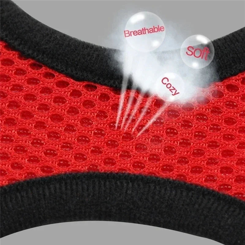 Adjustable Pet Harness - Walking Vest with Matching Lead Option