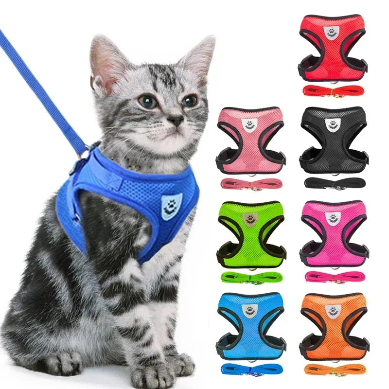 Adjustable Pet Harness - Walking Vest with Matching Lead Option