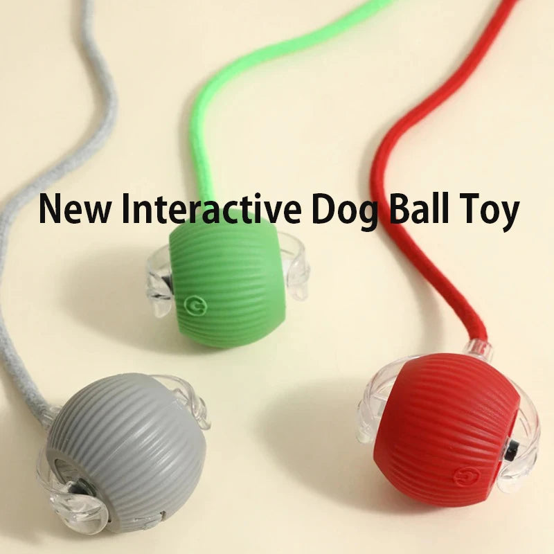 Rolling Dog Ball Toy - Rechargeable Interactive Pet Play