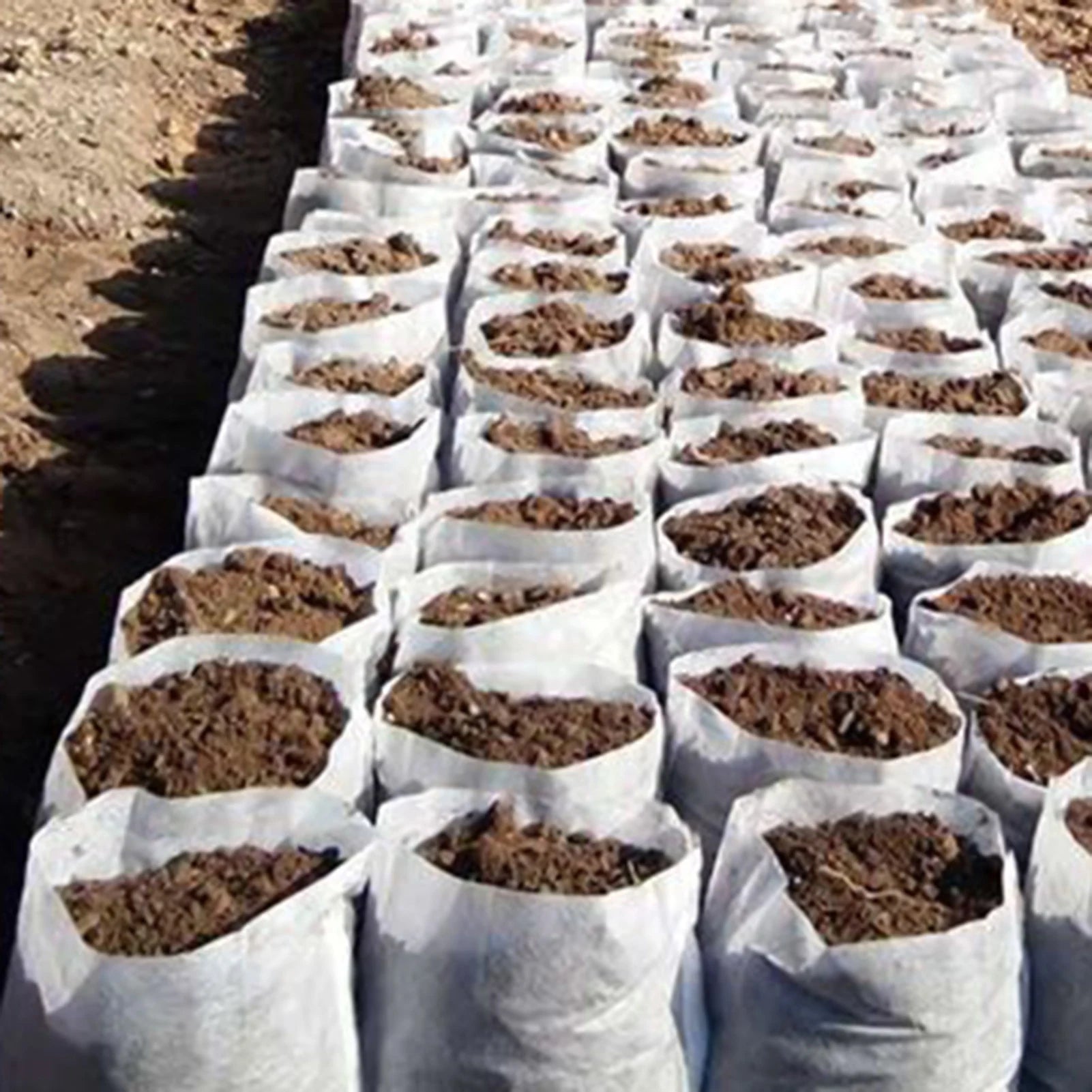 Plant Nursery Bags - 100-Piece Seedling Grow Bags