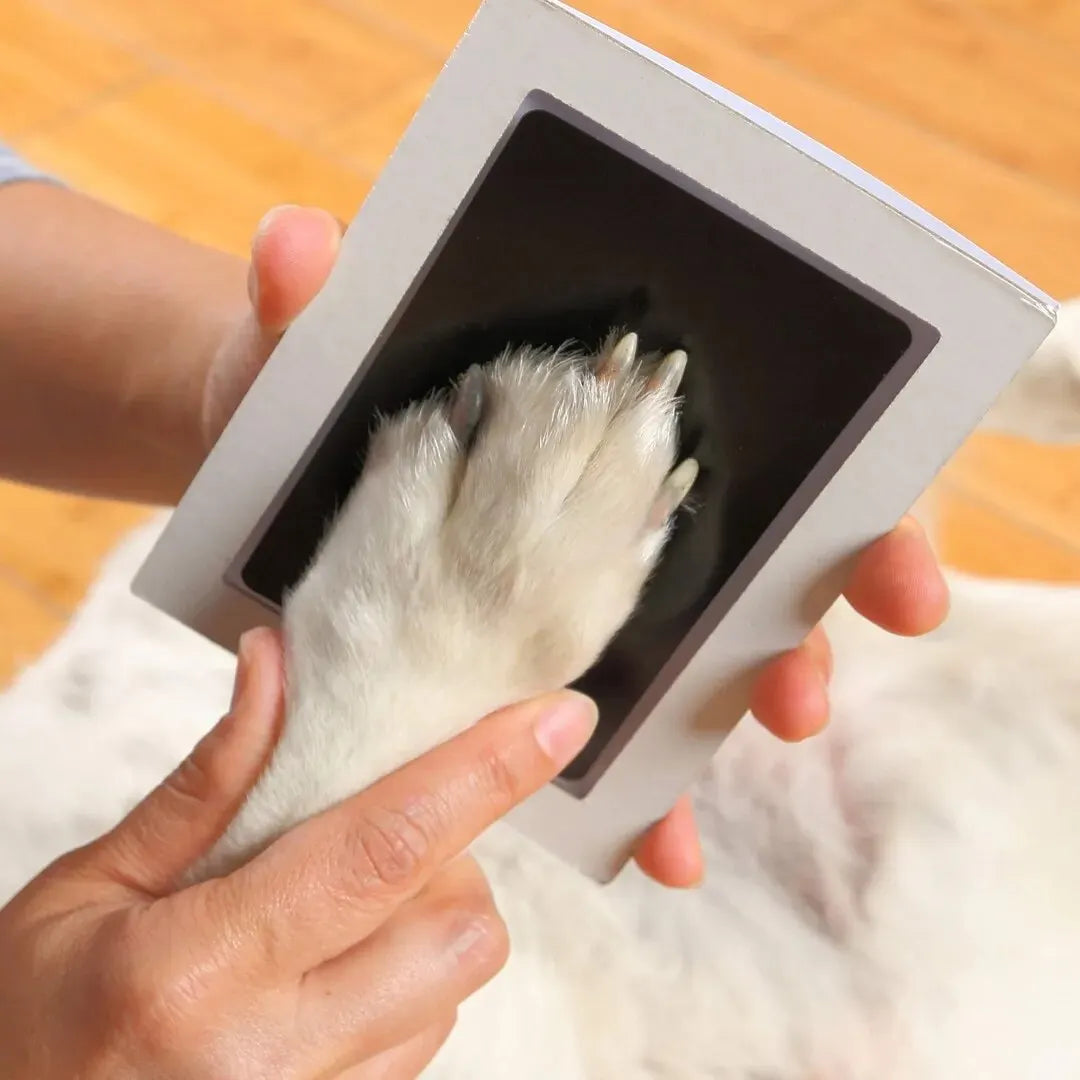 Pet Paw Print Ink Pad - Inkless Keepsake Kit for Cats and Dogs