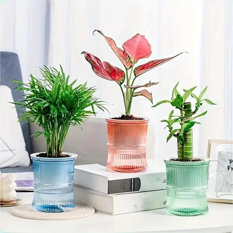 Self-Watering Planter Pot - Desktop Hydroponic Flower Pot