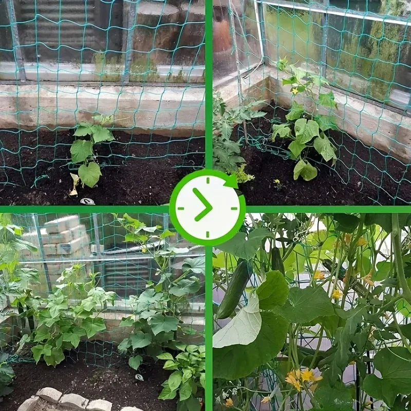 Garden Trellis Grow Net – Heavy-Duty Support for Climbing Plants