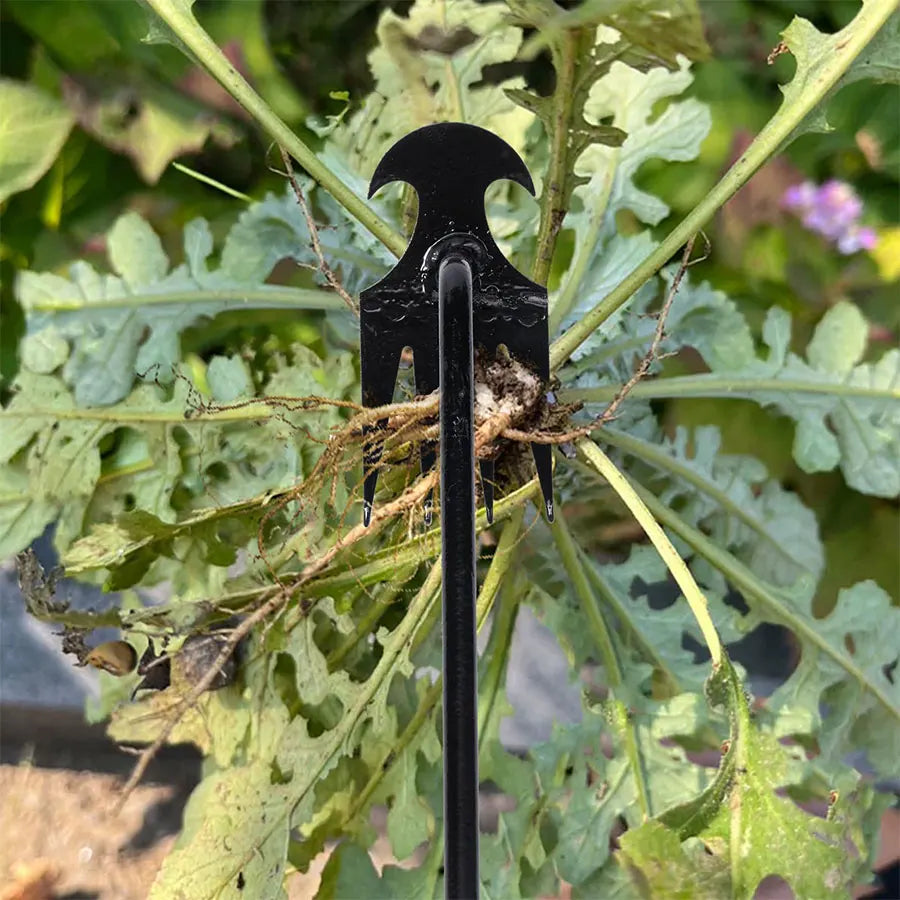 Garden Hoe Tool - Length Options for Soil and Plant Care