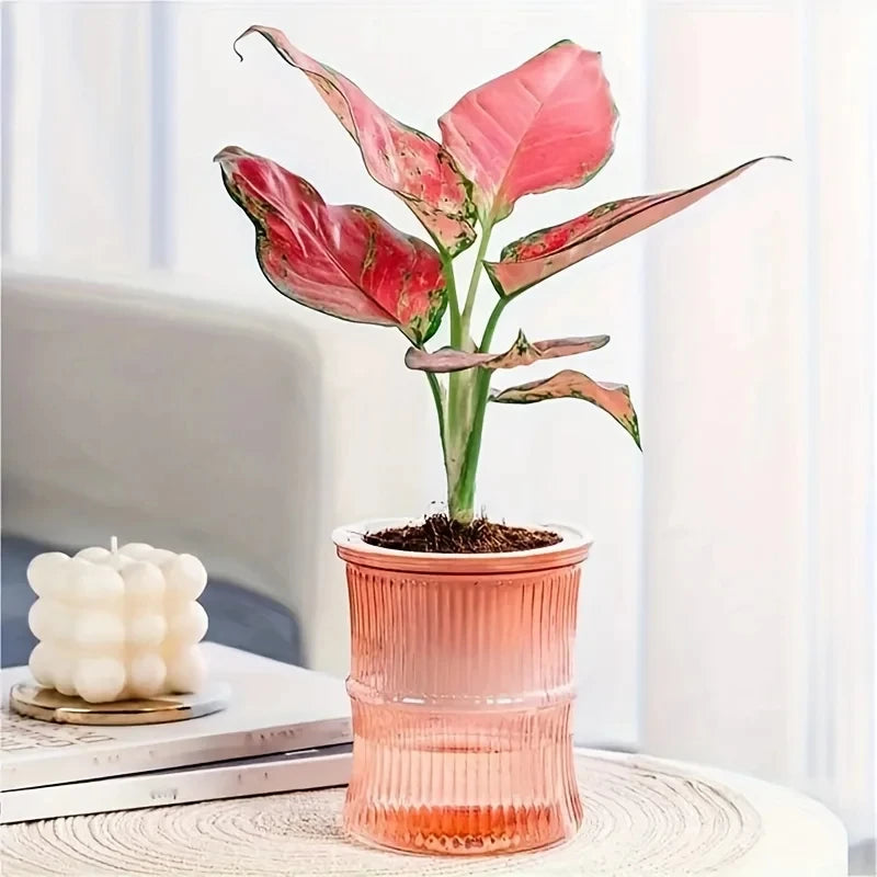 Self-Watering Planter Pot - Desktop Hydroponic Flower Pot - Pink