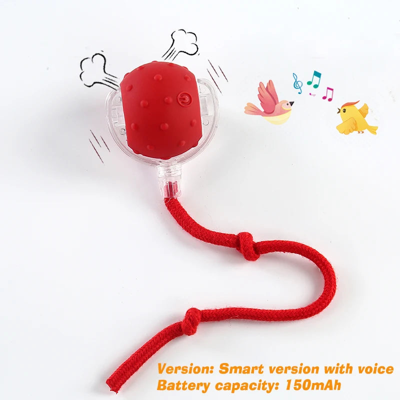 Rolling Dog Ball Toy - Rechargeable Interactive Pet Play