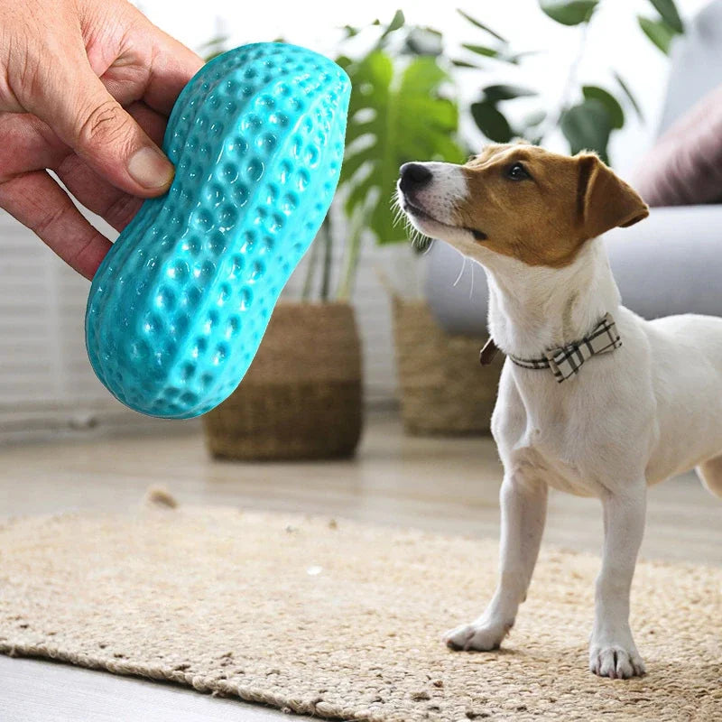 Chewing Simulation Pet Toy - Interactive Pet Play and Daily Enrichment