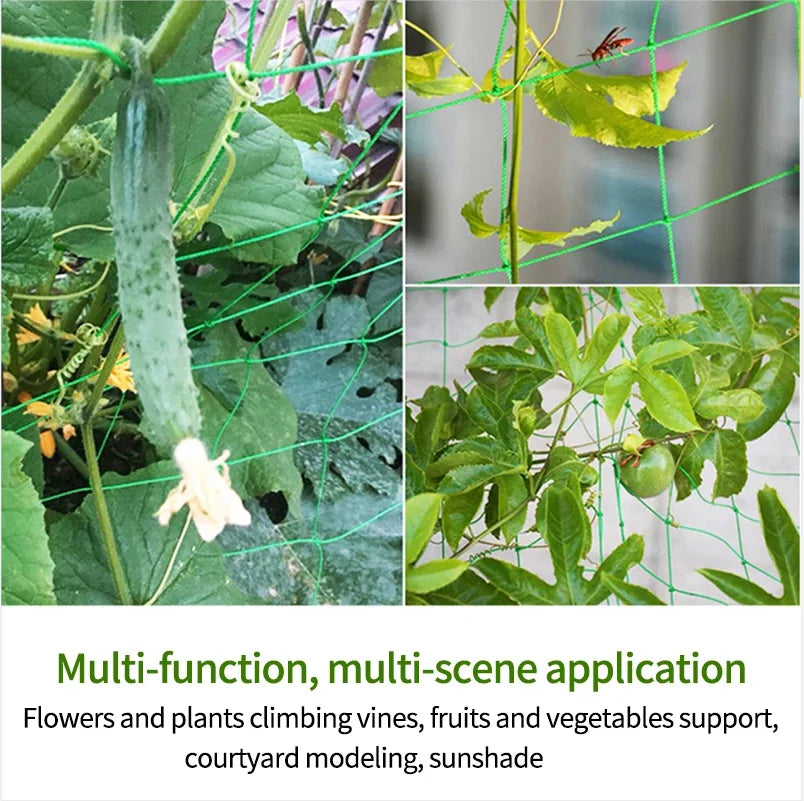 Garden Trellis Grow Net – Heavy-Duty Support for Climbing Plants
