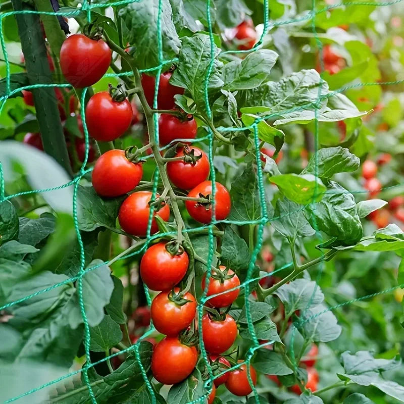 Garden Trellis Grow Net – Heavy-Duty Support for Climbing Plants