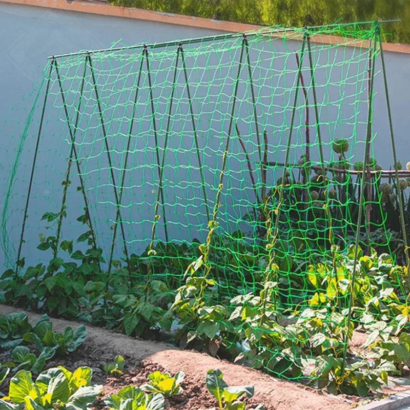 Garden Trellis Grow Net – Heavy-Duty Support for Climbing Plants