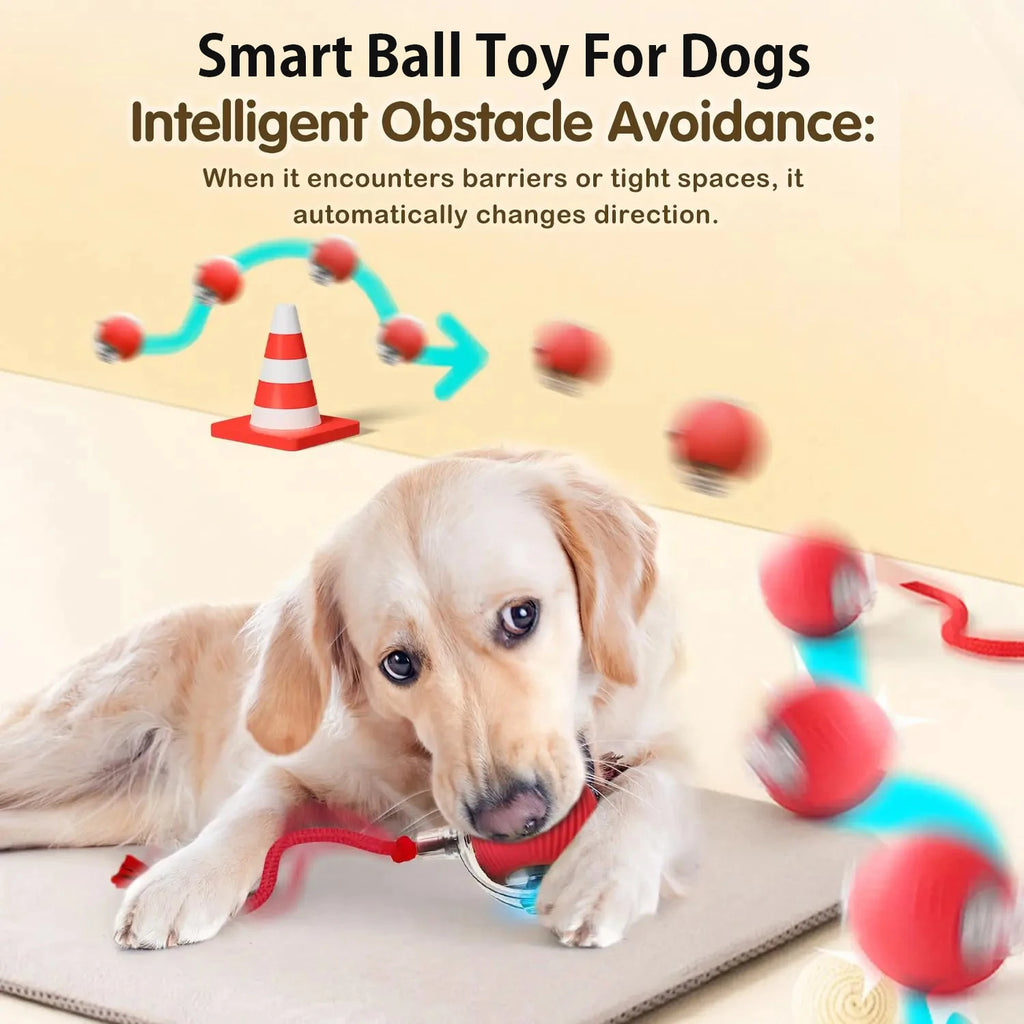 Rolling Dog Ball Toy - Rechargeable Interactive Pet Play