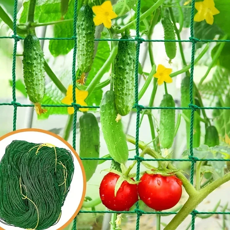 Garden Trellis Grow Net – Heavy-Duty Support for Climbing Plants
