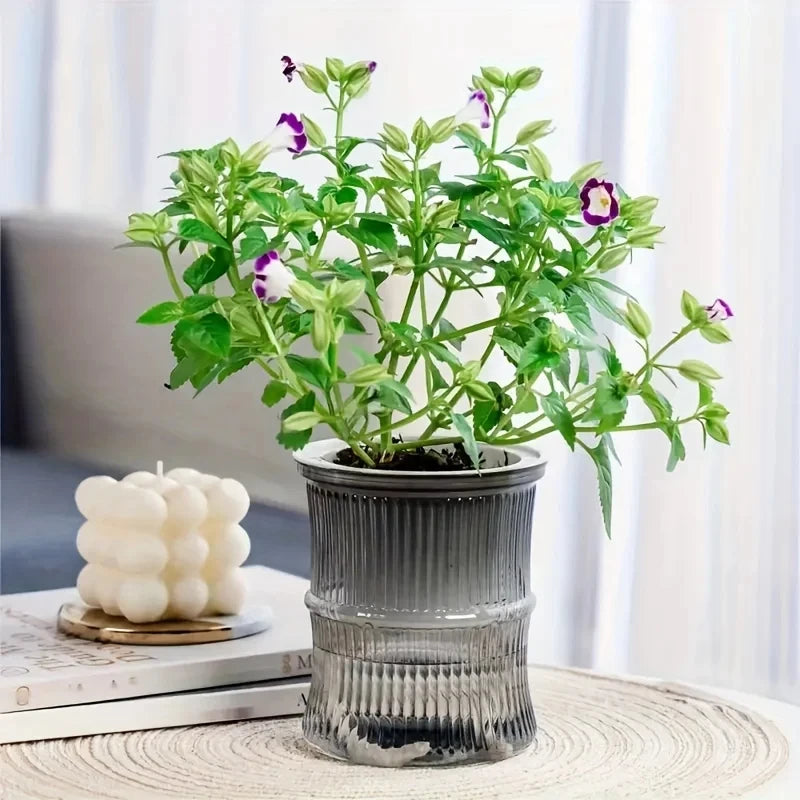 Self-Watering Planter Pot - Desktop Hydroponic Flower Pot - Gray