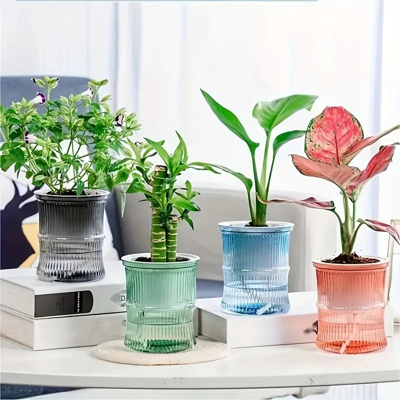 Self-Watering Planter Pot - Desktop Hydroponic Flower Pot