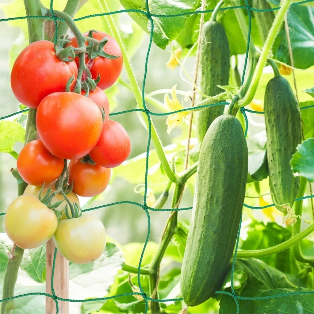 Garden Trellis Grow Net – Heavy-Duty Support for Climbing Plants