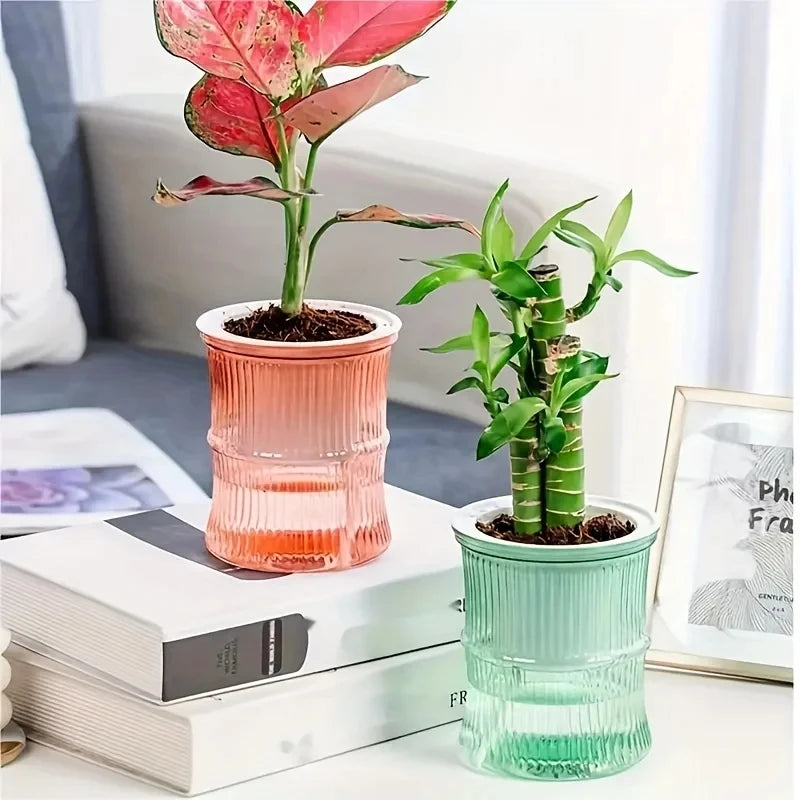 Self-Watering Planter Pot - Desktop Hydroponic Flower Pot