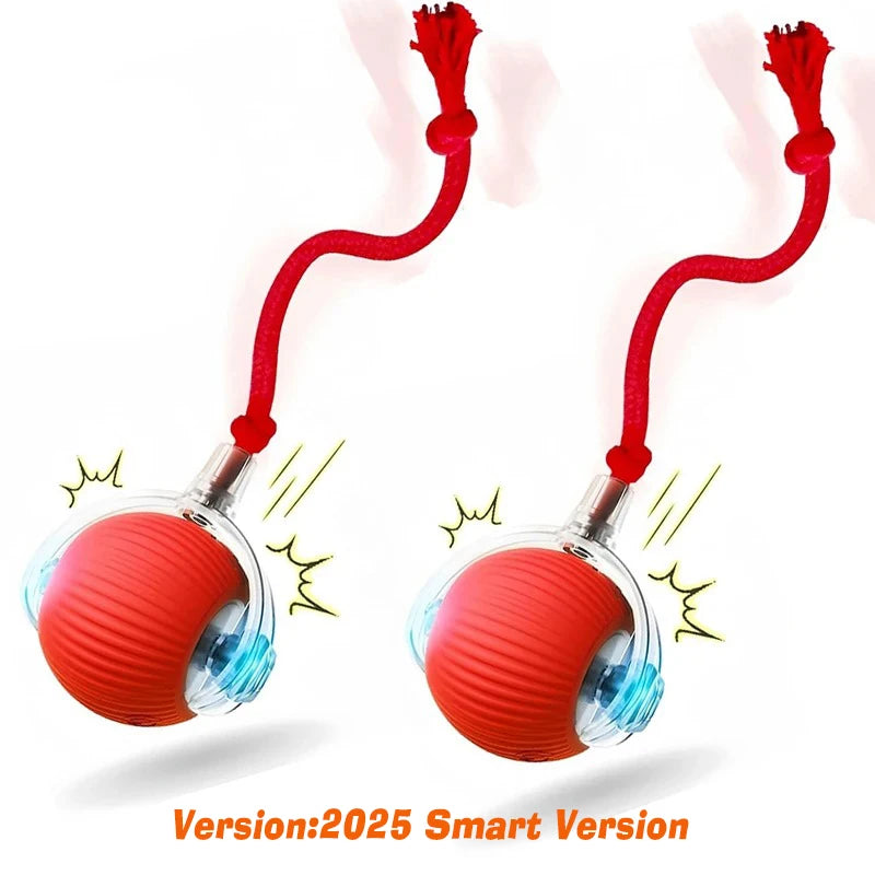Rolling Dog Ball Toy - Rechargeable Interactive Pet Play