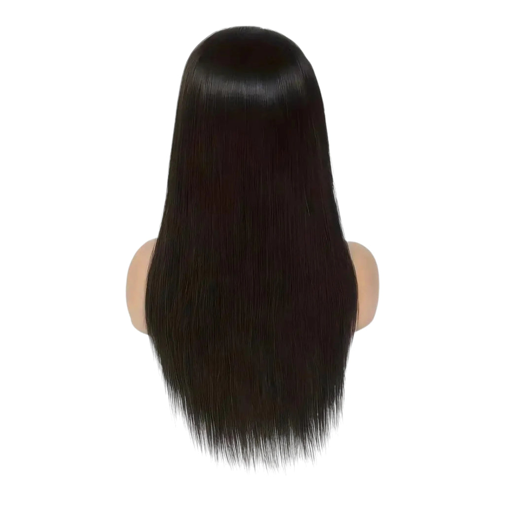 Straight Lace Front Wig - Human Hair Natural Color Wig
